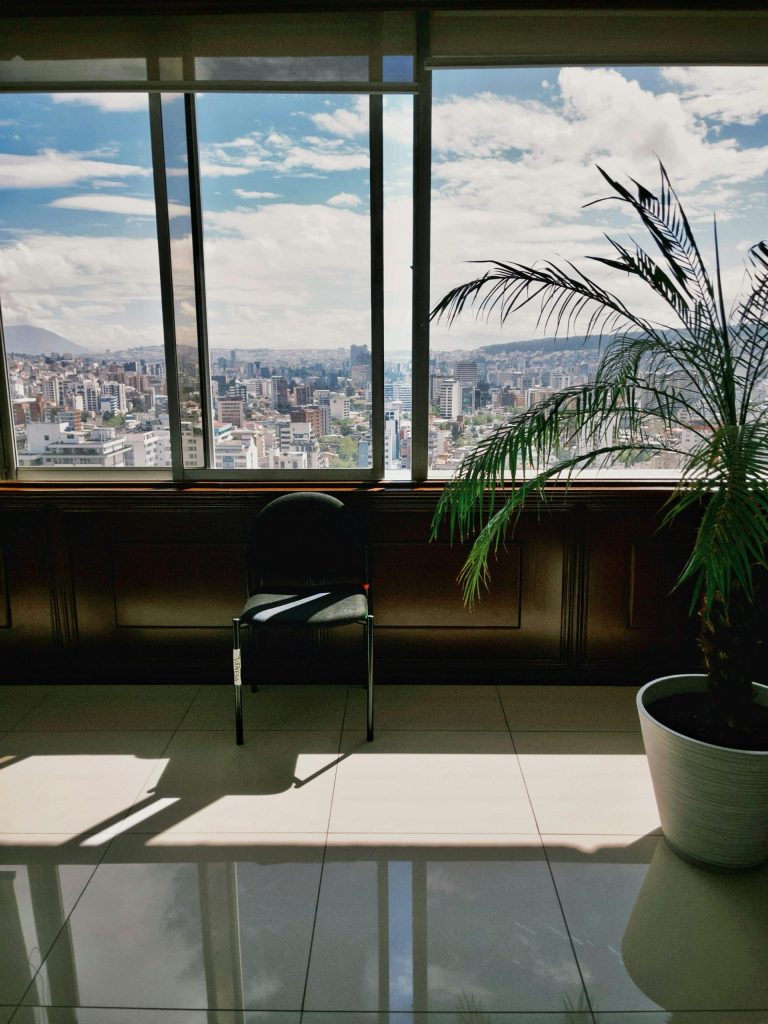 Helles Bürointerieur mit Blick aus dem Fenster auf eine pulsierende Stadt und einer Topfpflanze.